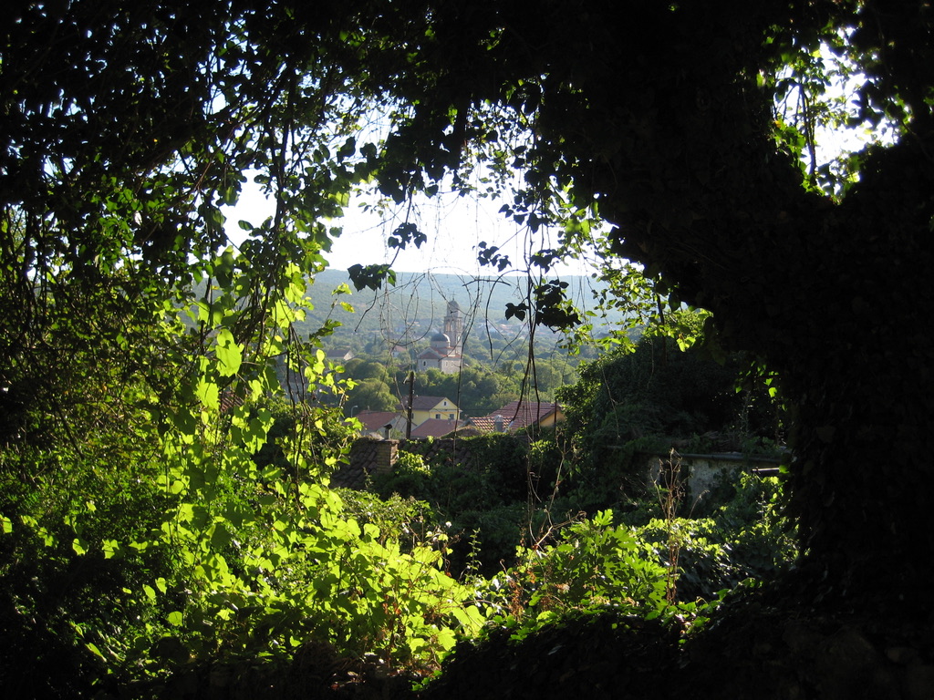 View of Local Church