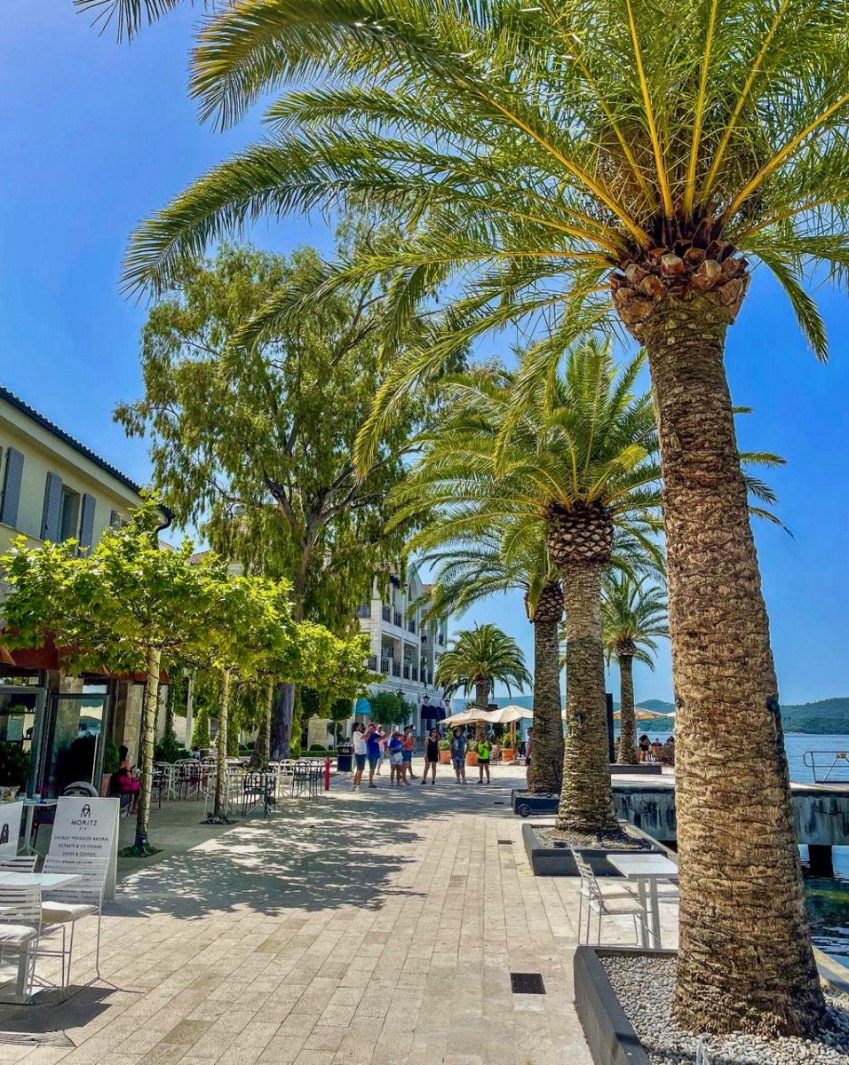 Restaurants In Porto Montenegro