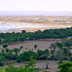 Bozaj Near Lake Skadar