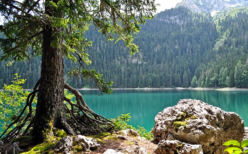 Crno jezero Durmitor
