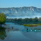 On lake Skadar