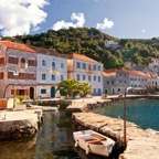 Rose On The Lustica Peninsula